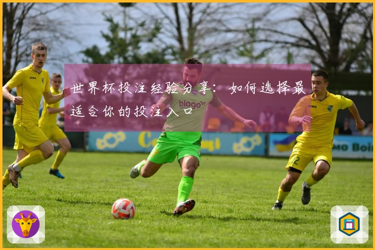 世界杯投注经验分享：如何选择最适合你的投注入口