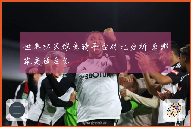 世界杯买球竞猜平台对比分析 看哪家更适合你