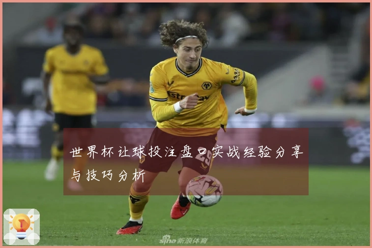 世界杯让球投注盘口实战经验分享与技巧分析