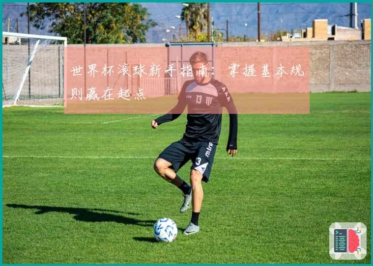 世界杯滚球新手指南：掌握基本规则赢在起点