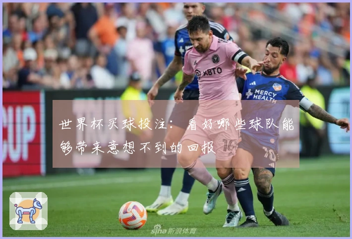世界杯买球投注：看好哪些球队能够带来意想不到的回报