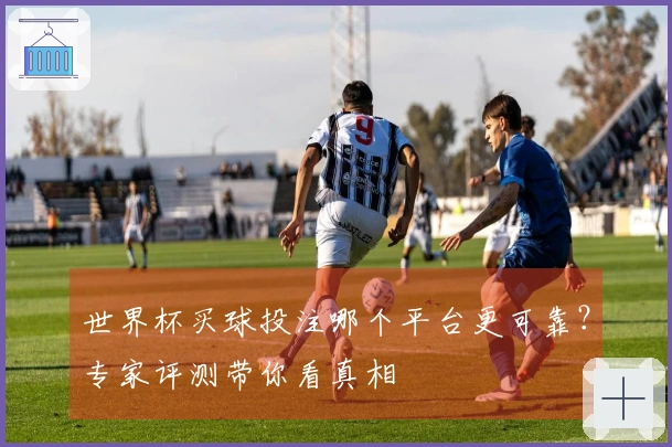 世界杯买球投注哪个平台更可靠？专家评测带你看真相